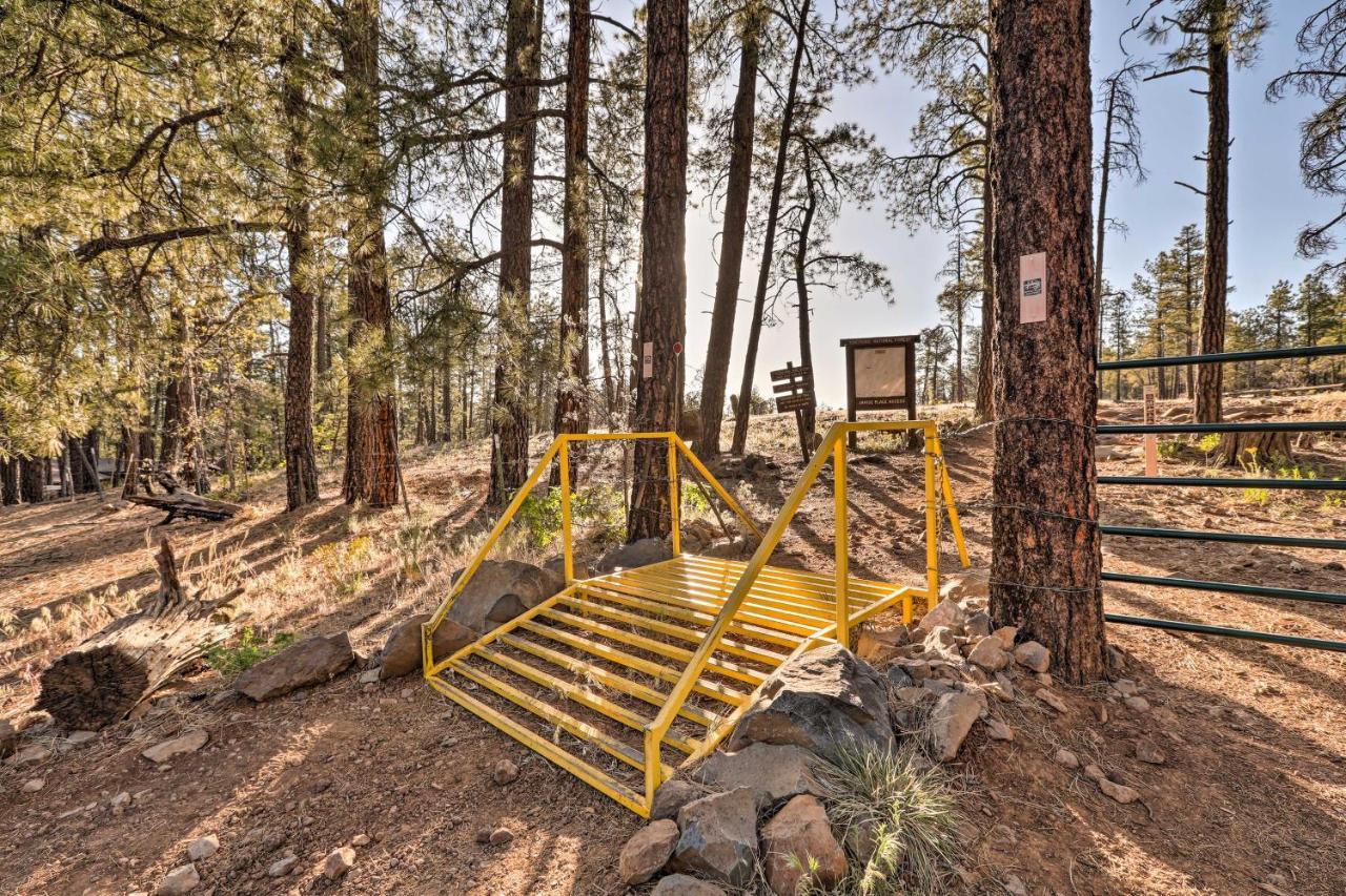 Munds Park Cabin With Poker Room And Wraparound Deck! Luaran gambar